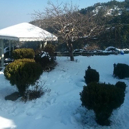 The Swiss Village Resort ไนนิตาล ภายนอก รูปภาพ
