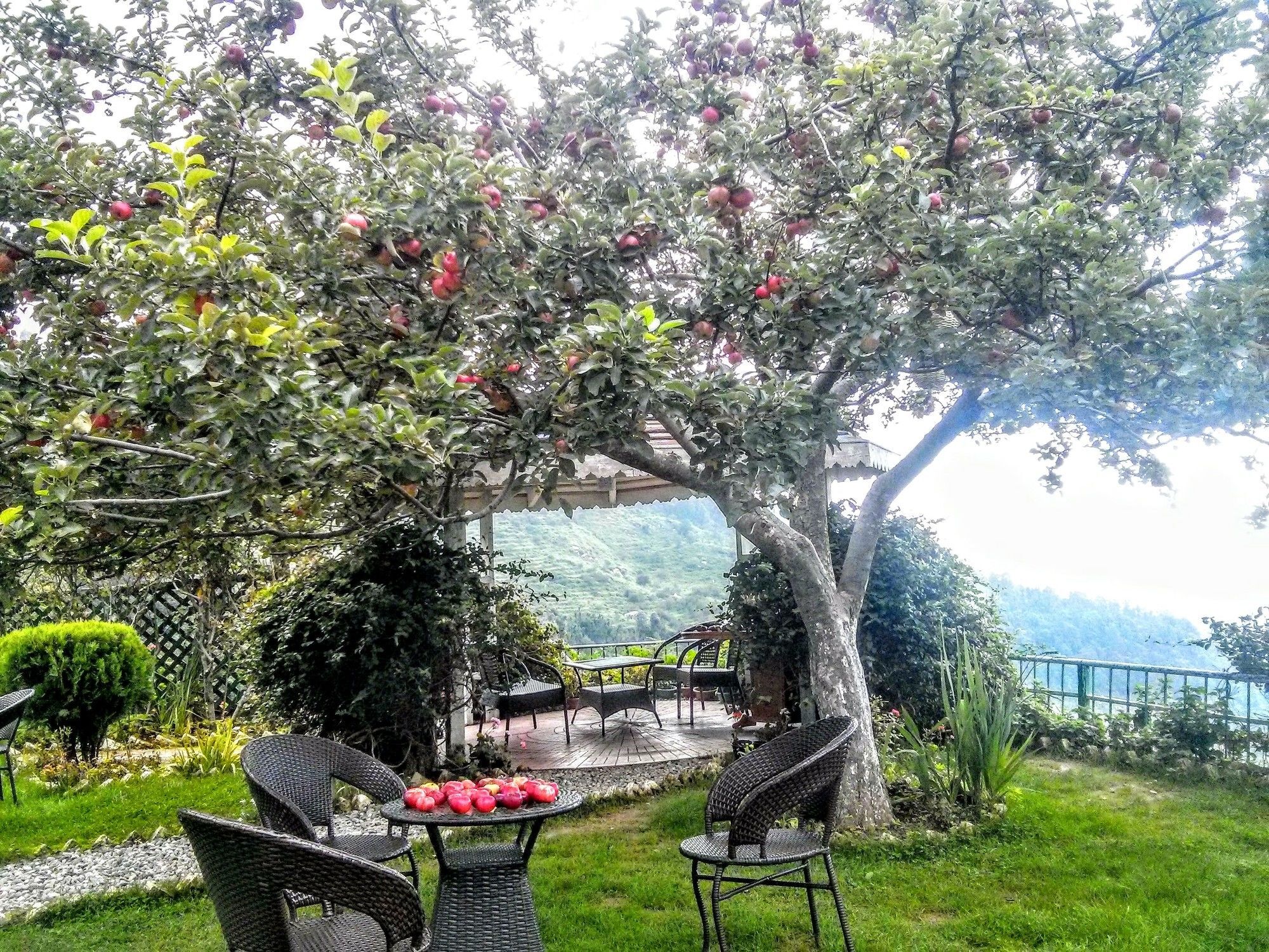 The Swiss Village Resort ไนนิตาล ภายนอก รูปภาพ